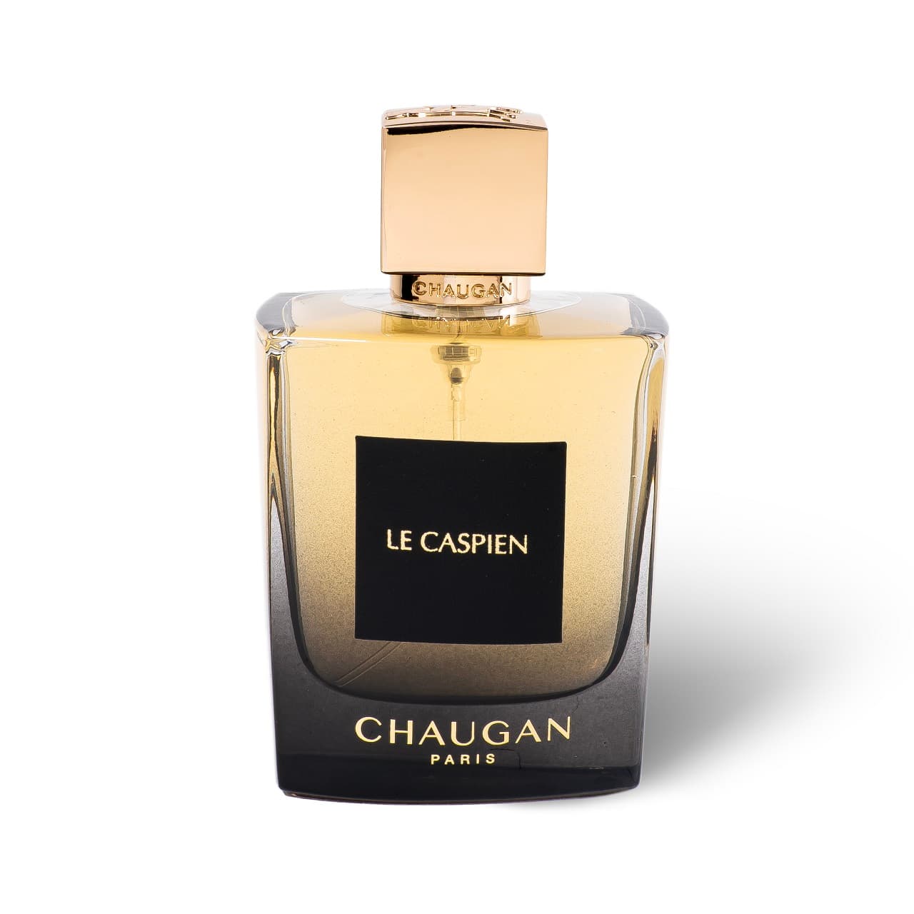 ادوپرفیوم مردانه چوگان مدل LE CASPIEN