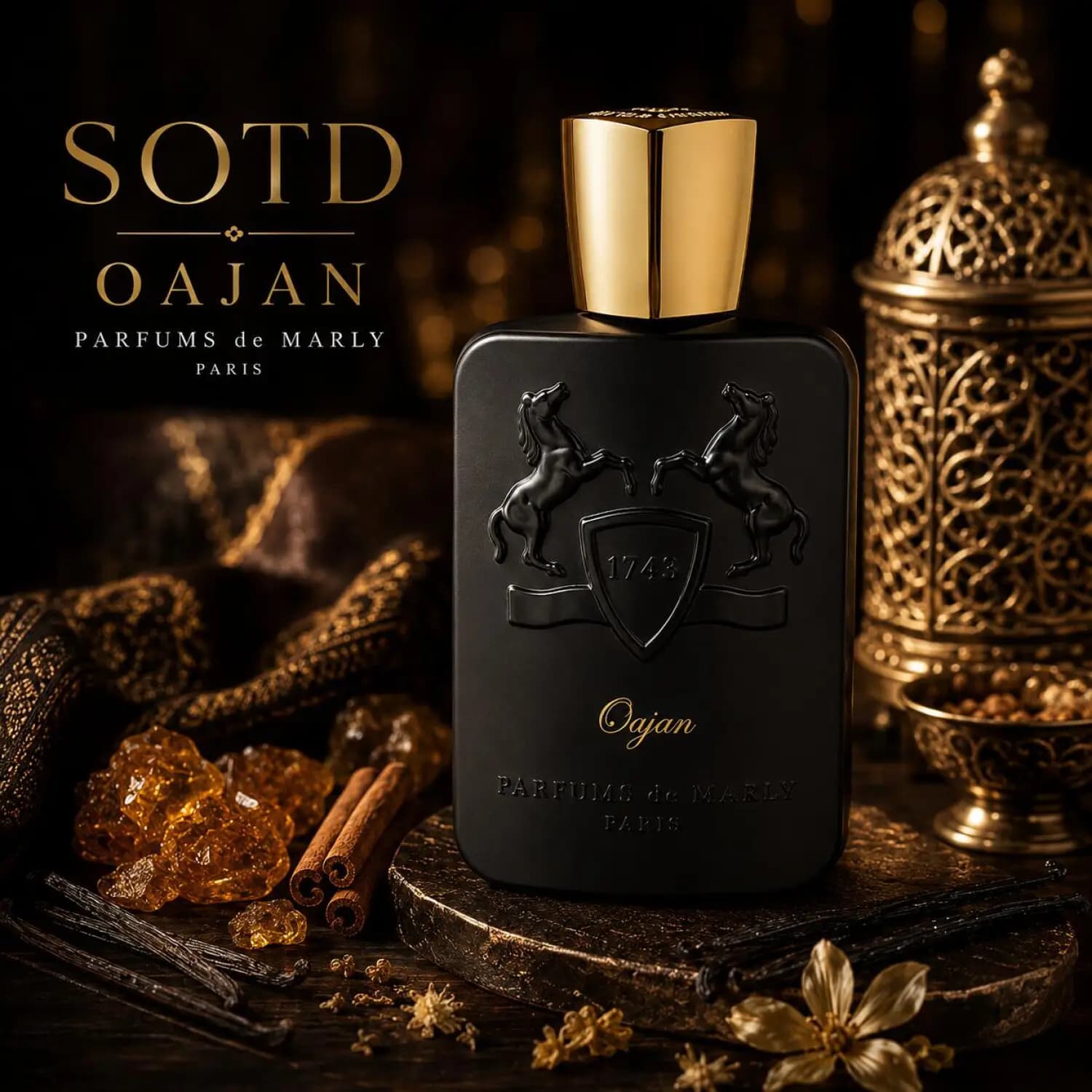 عطر ادکلن پارفومز د مارلی اوجان | PARFUMS de MARLY / Oajan — تصویر ۱۰