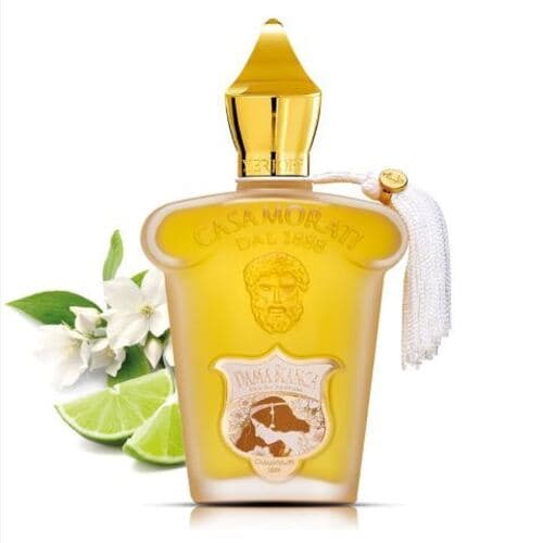 کازاموراتی زرجف-زرژاف داما بیانکا | XERJOFF / CASAMORATI DAMA BIANCA EDP — تصویر ۵