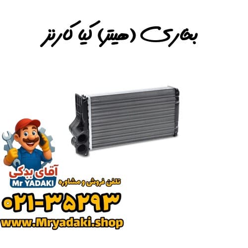 بخاری (هیتر) کیا کارنز