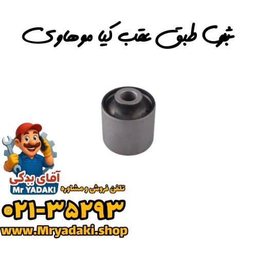بوش طبق عقب کیا موهاوی