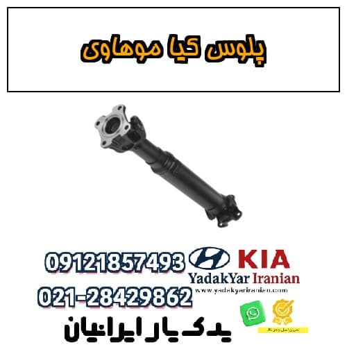 پلوس کیا موهاوی — تصویر ۵