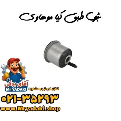 بوش طبق کیا موهاوی