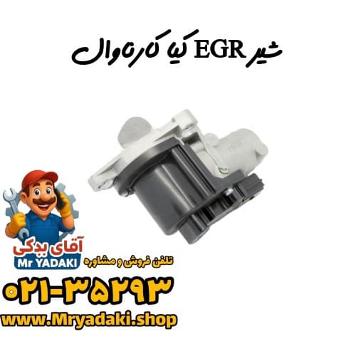 شیر EGR کیا کارناوال — تصویر ۳