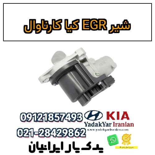 شیر EGR کیا کارناوال — تصویر ۴