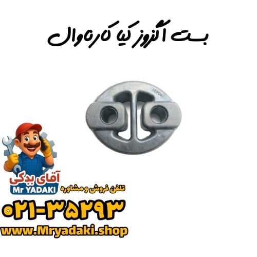 بست اگزوز کیا کارناوال