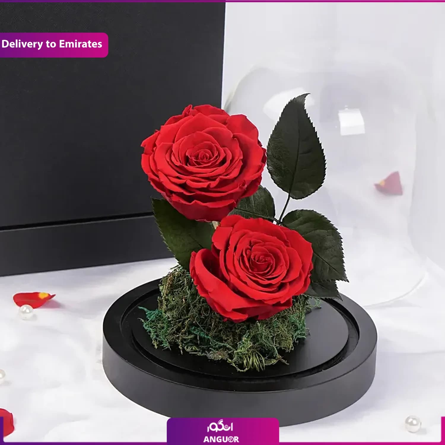 گل رز جاودان برای عشق (تحویل در امارات ) — تصویر ۵