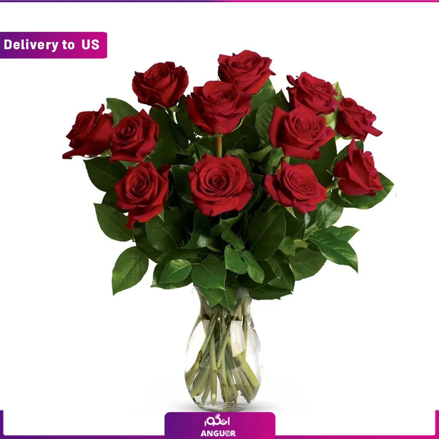 (Delivery to USA) Classic Romance Red Roses — تصویر ۲