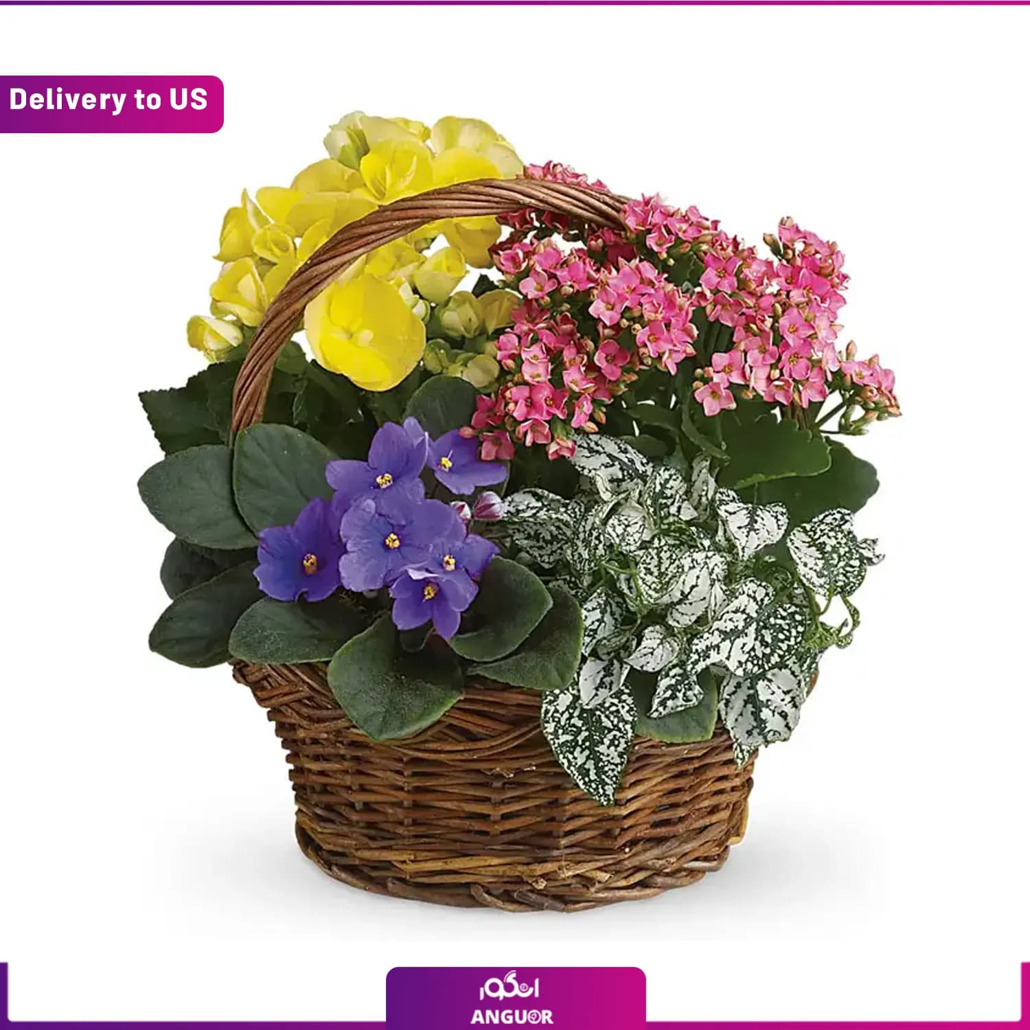 (Delivery to USA) Summer Floral Basket