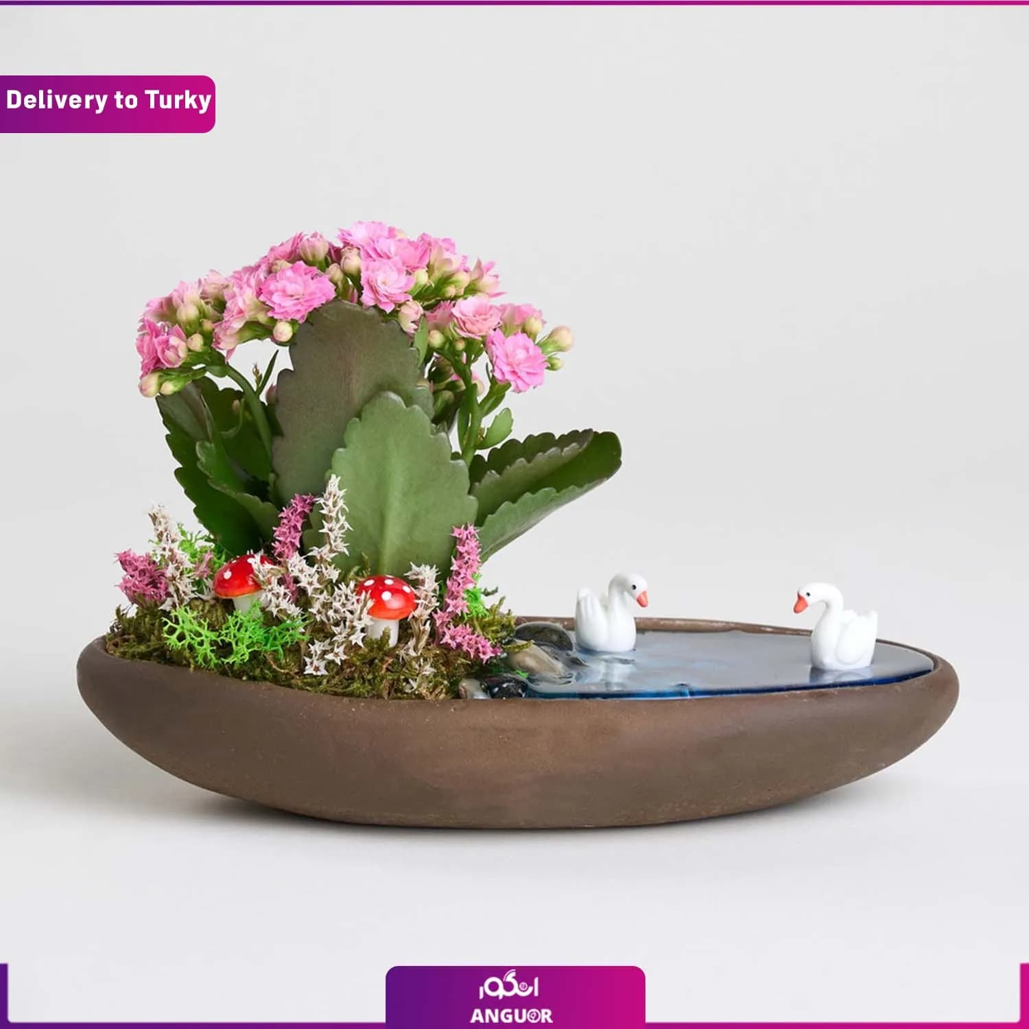 تراریوم گل کالانکوئه (ارسال گل به ترکیه) — تصویر ۳