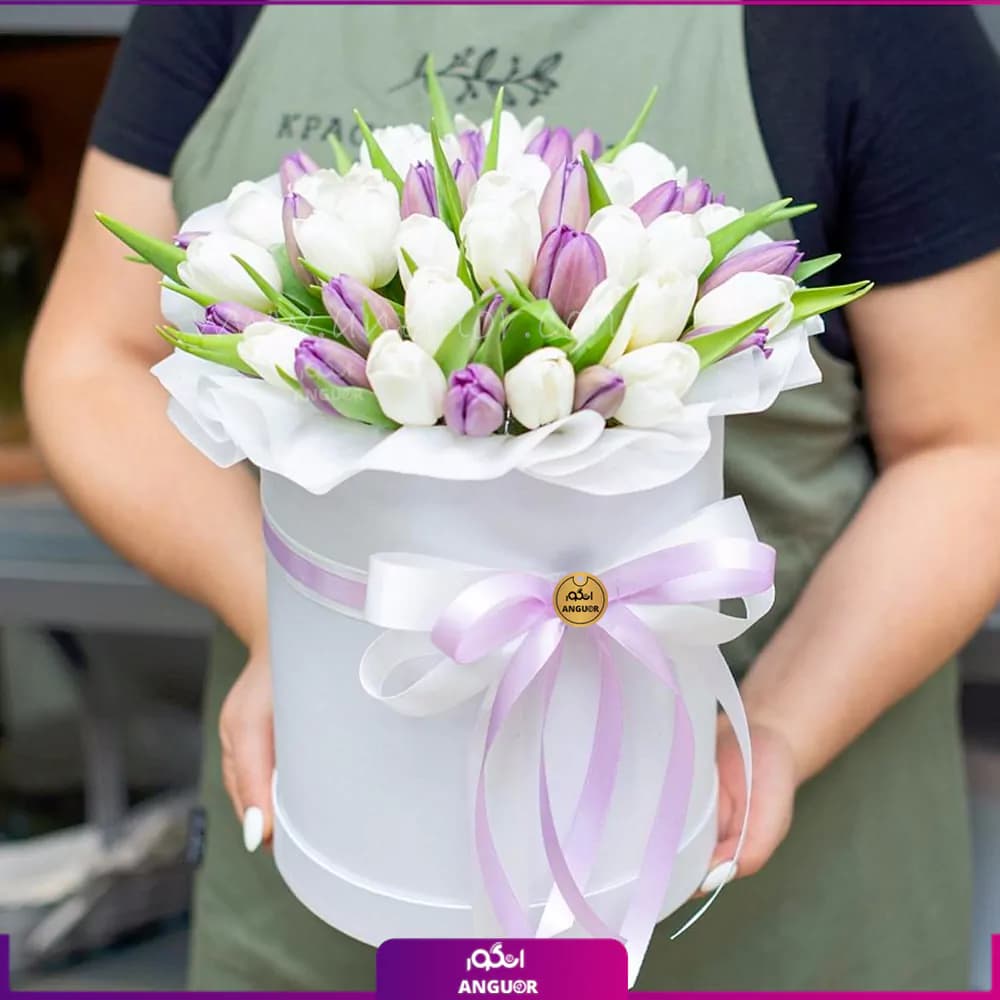 باکس گل لاله موسم بهاری