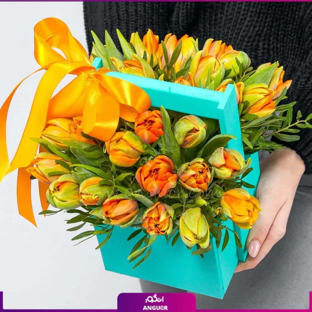 باکس گل لاله زار — تصویر ۲
