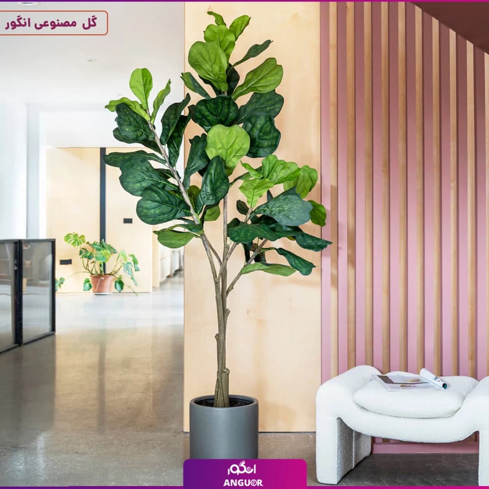 درختچه فیکوس لیراتا سایز بزرگ (مصنوعی وارداتی) — تصویر ۳
