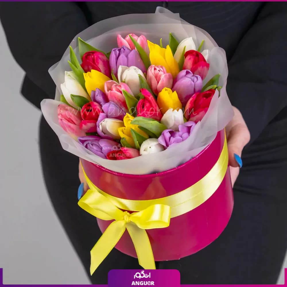 باکس گل لاله هیلا