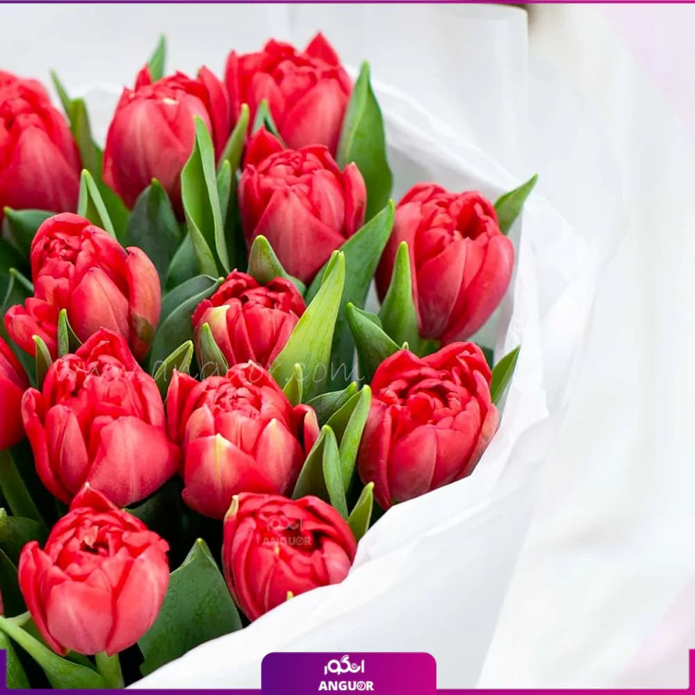 دسته گل لاله تمام من — تصویر ۳