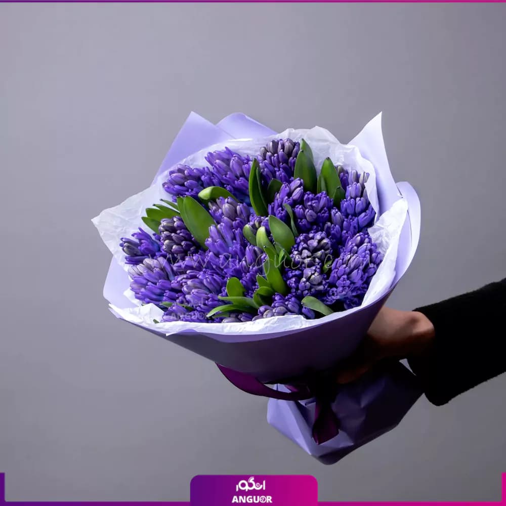 دسته گل سنبل بنفش 21 عددی