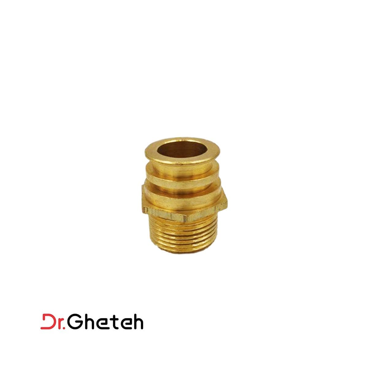 مغزی 3/4 ورونا — تصویر ۳