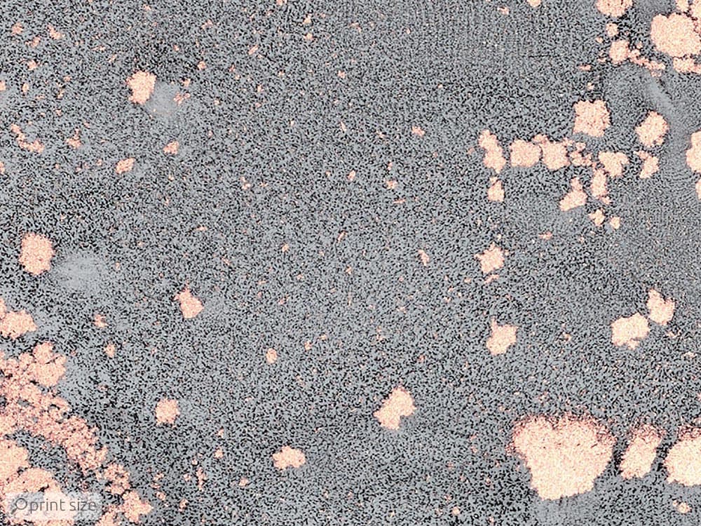 کاغذ دیواری لاکچری خاص M11019800 — تصویر ۱۰