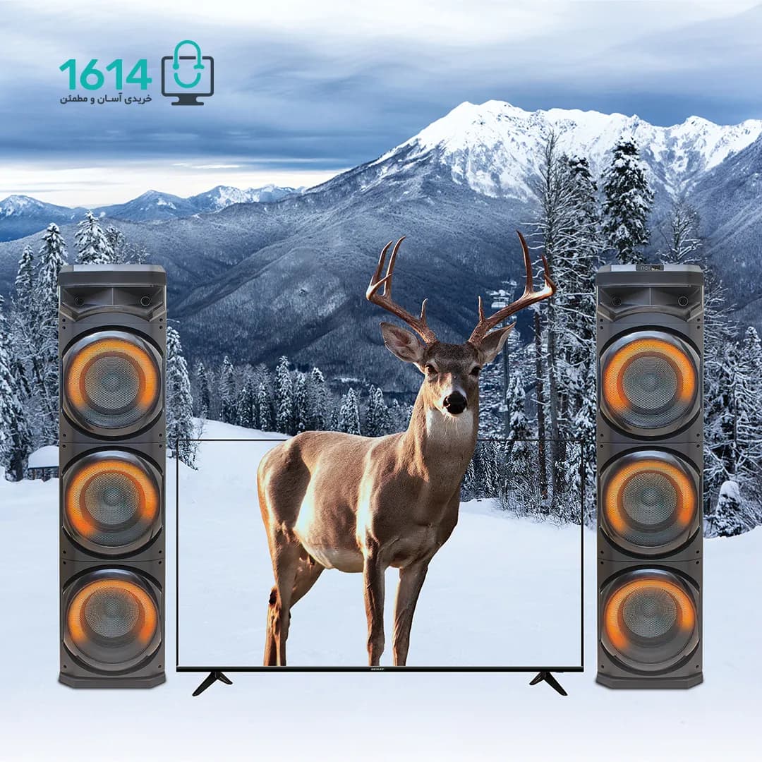 اسپیکر بزرگ دو تکه دنای مدل DA3010 DJ4 — تصویر ۵
