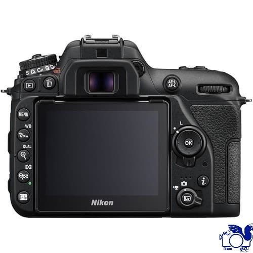 Nikon D7500 DSLR Camera (Body Only) — تصویر ۴