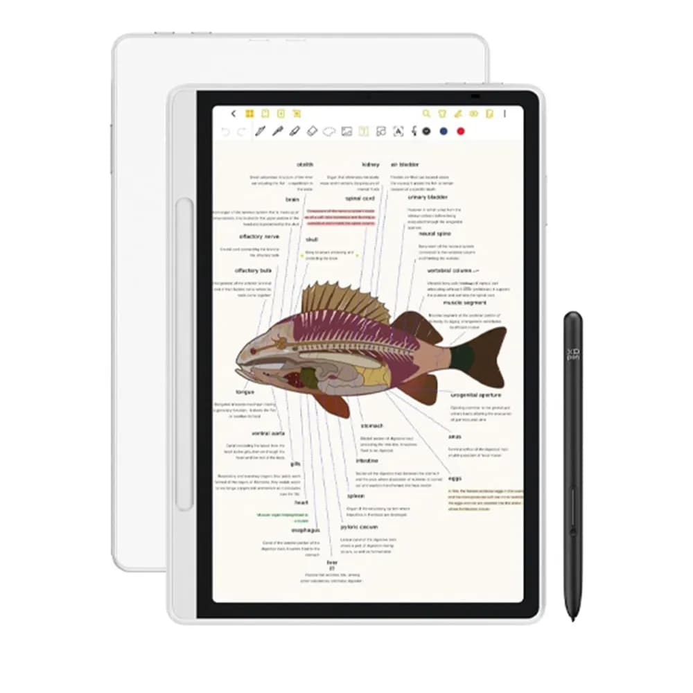 تبلت گرافیکی و قلم نوری ایکس پی پن مدل Magic Note Pad — تصویر ۴