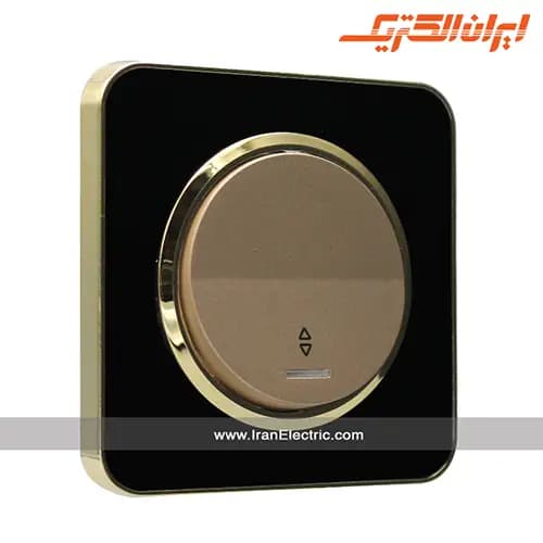 کلید تبدیل اسپیناس طلایی زه مشکی میان بژ