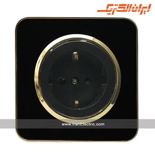 پریز برق ارتدار اسپیناس طلایی زه مشکی میان مشکی — تصویر ۹