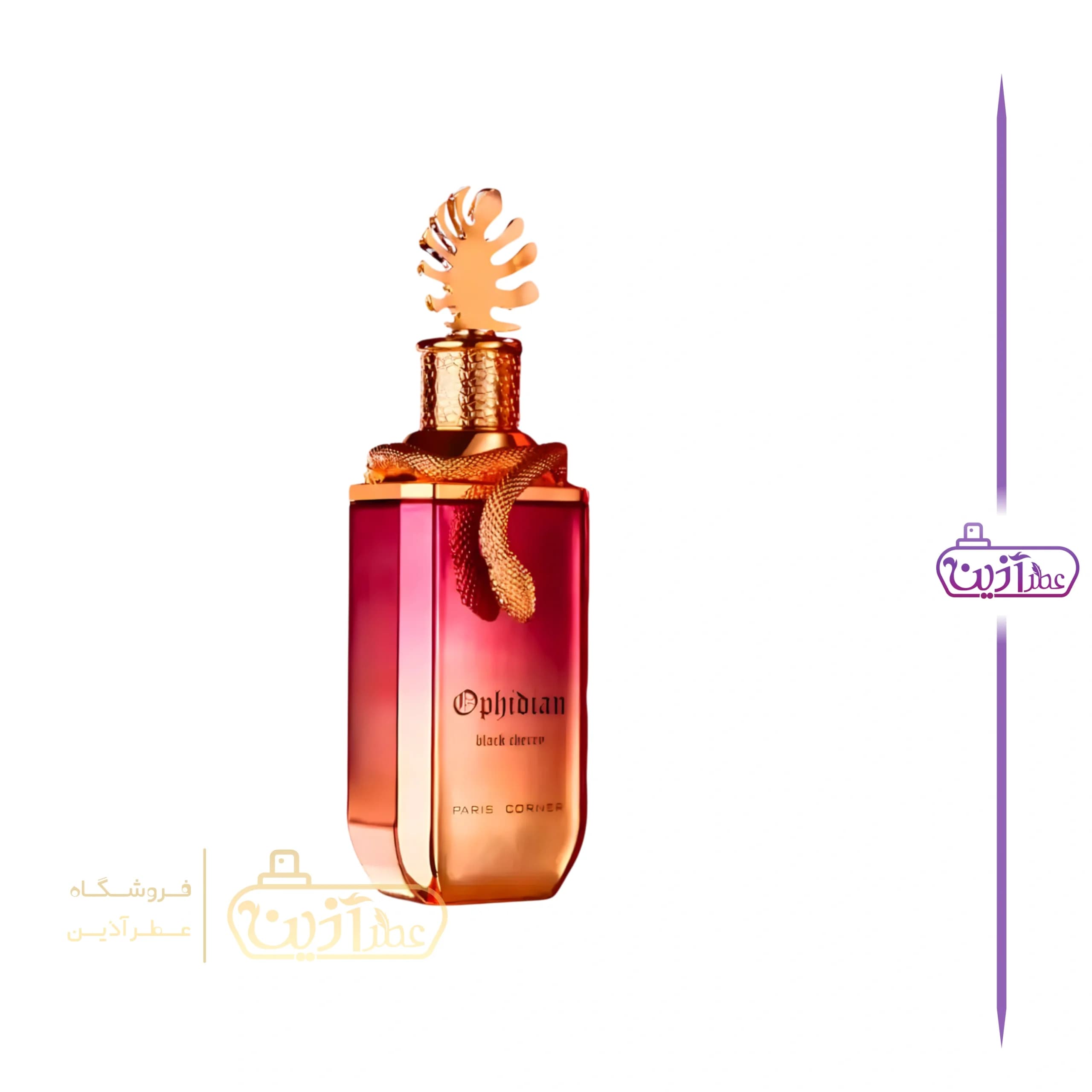 ادکلن افیدیان بلک چری پاریس کرنر (لاوفست برنینگ چری 48 پاریس کرنر) — تصویر ۵