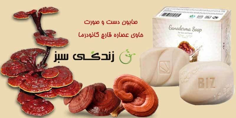 صابون دست و صورت گانودرما دکتربیز Dr.Biz (پک 3 عددی) — تصویر ۱۲