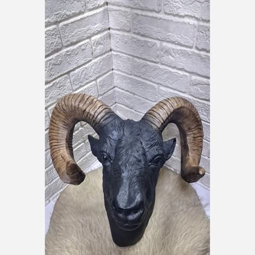 مجسمه ی دکوری کله ی قوچ دیواری — تصویر ۳