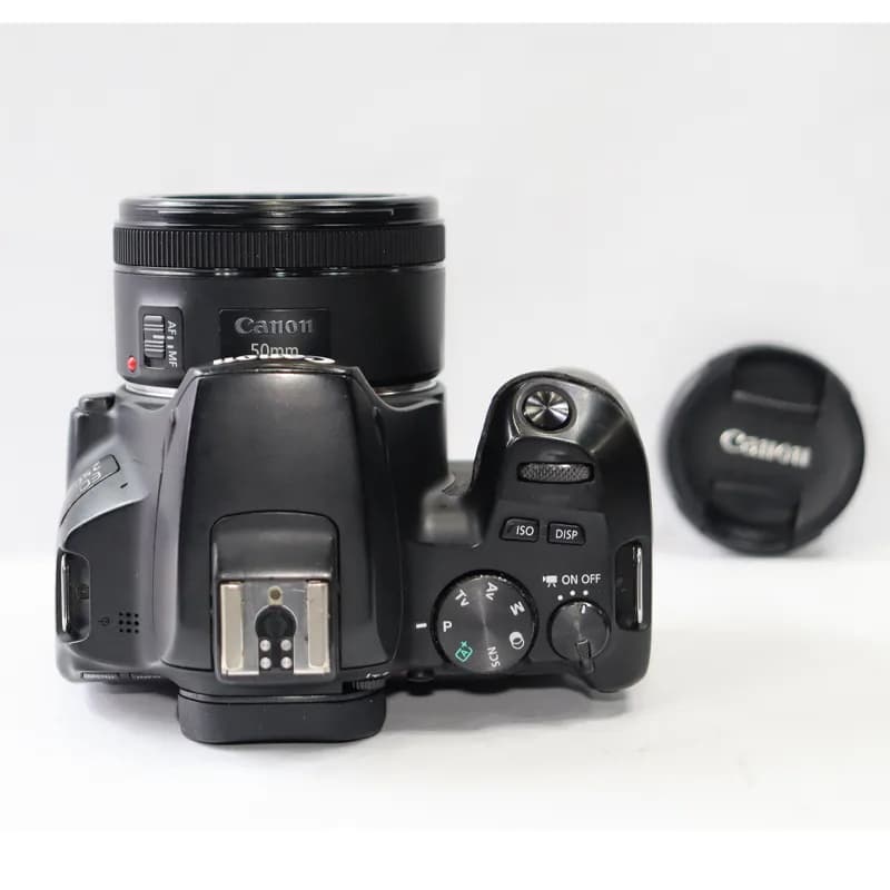 دوربین کانن مدل 250D با لنز 50 فیکس F1.8 سری STM ( استوک ) — تصویر ۹