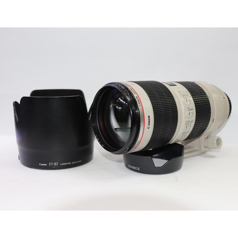 لنز تله کانن 200_70 سری L تایپ 2 F2.8 (استوک) — تصویر ۱۱