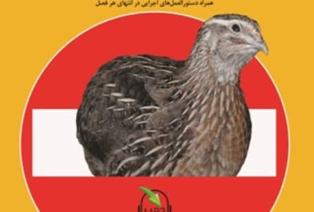 قبل از خواندن این کتاب بلدرچین پرورش ندهید