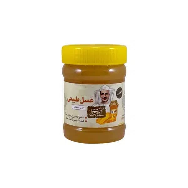 عسل گاوپونه طبیعی خام اصفهان 470 گرم — تصویر ۲