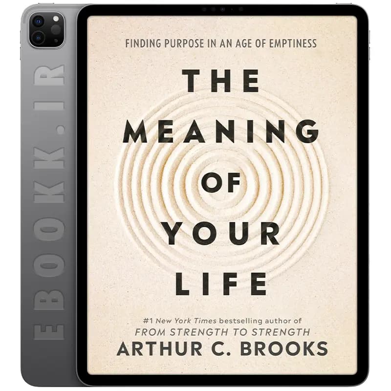 دانلود کتاب The Meaning of Your Life 2026 — تصویر ۲