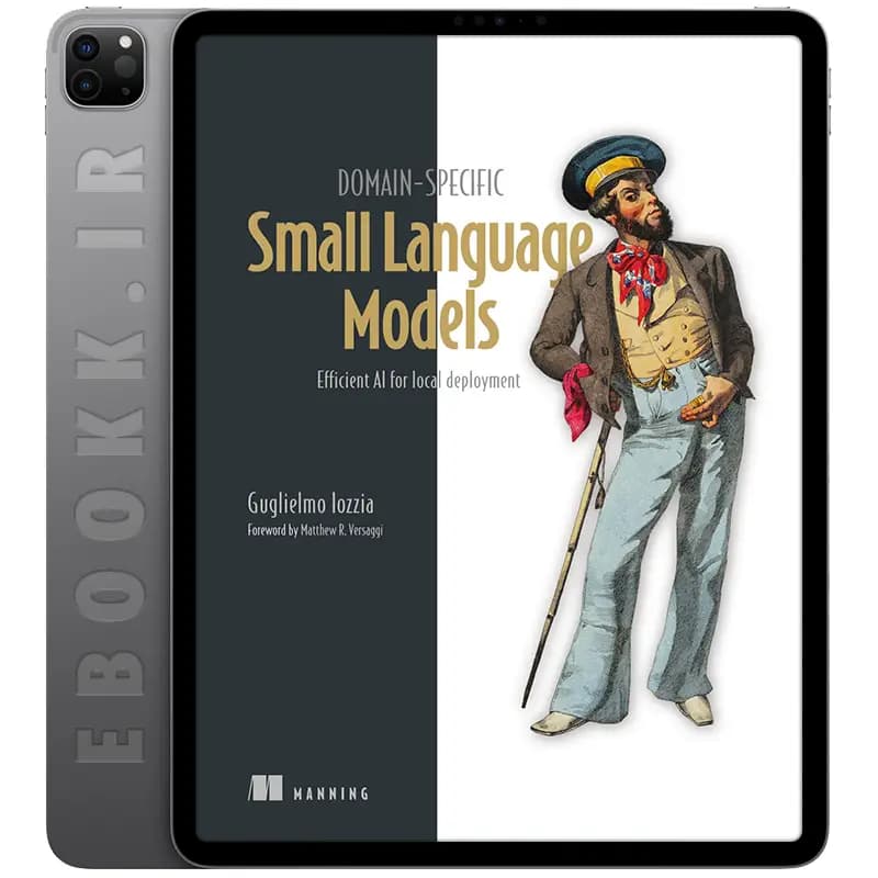دانلود کتاب Domain-Specific Small Language Models 2026 — تصویر ۳