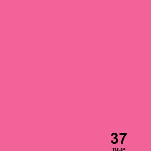 فون کاغذی سوج لاله ای Savage Widetone Seamless #37 Tulip