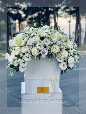 با عکس گل ارکیده در گلدان فضای خانه یا محل کار را زنده کن