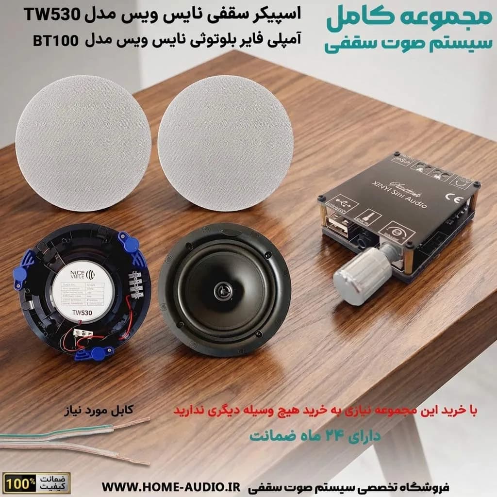 مجموعه اسپیکر سقفی نایس ویس TW530 + آمپلی فایر مدل BT200 — تصویر ۱۰