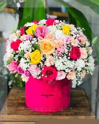 با خرید گلدان ارکیده فضای خانه یا محل کار را زنده کن