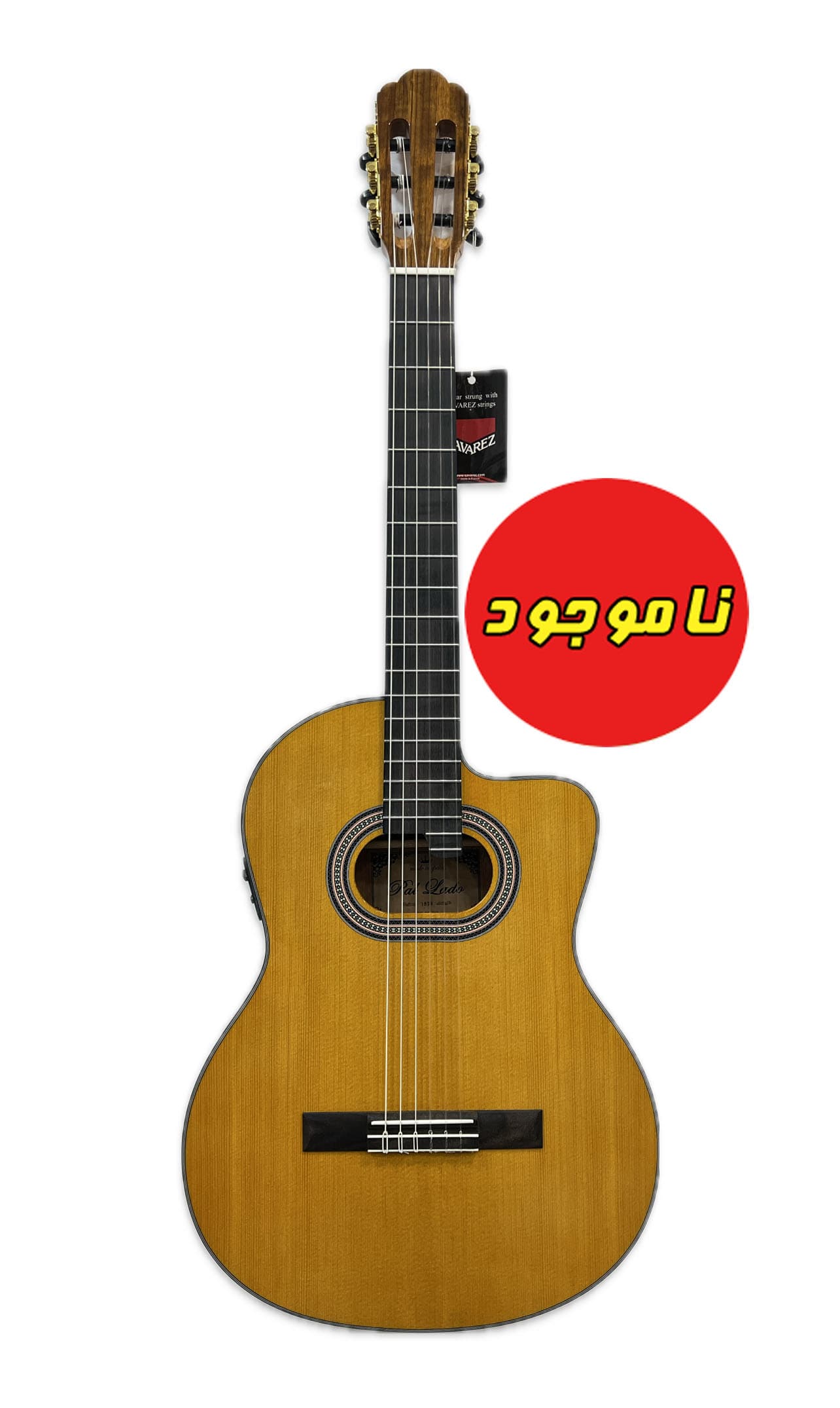 گیتار حرفه ای تین بادی پالادو – اکولایزردار CG90 – کات اوی رنگ براق — تصویر ۱۰