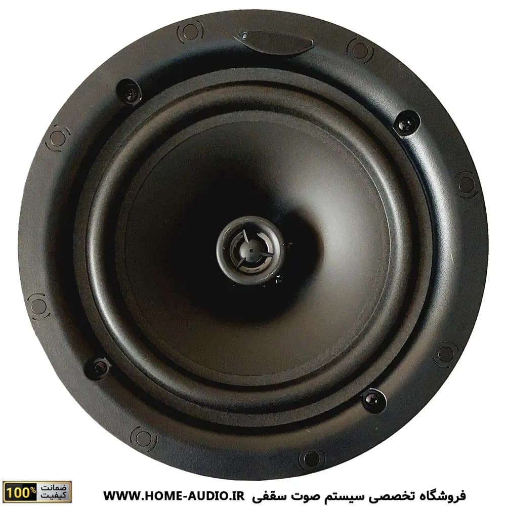 مجموعه اسپیکر سقفی نایس ویس TW840 + آمپلی فایر مدل BT200 — تصویر ۱۲