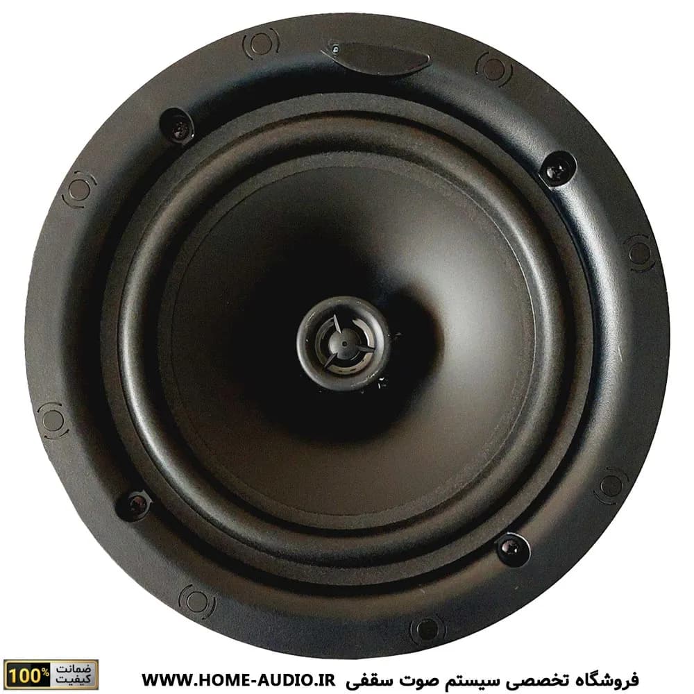 اسپیکر سقفی نایس ویس مدل TW530 — تصویر ۲