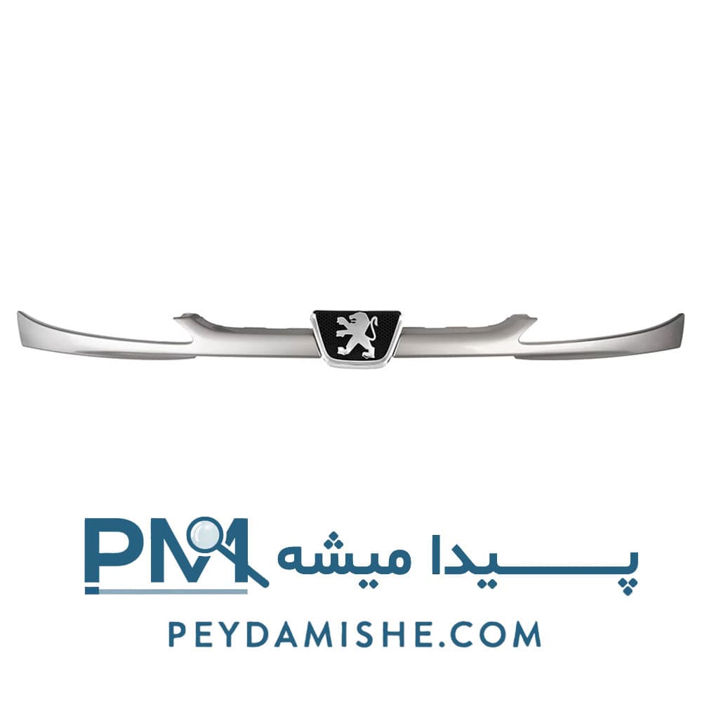 جلو پنجره 206 نقره ای