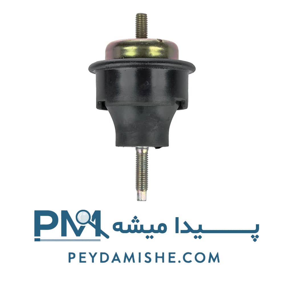 دسته موتور دوسرپیچ 405 برند امیرنیا — تصویر ۹