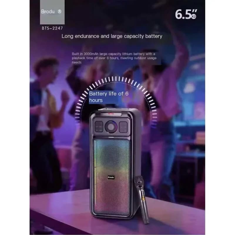 اسپیکر بلوتوثی برودو BTS-2247 + میکروفون — تصویر ۷