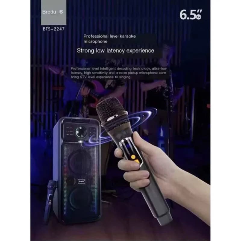 اسپیکر بلوتوثی برودو BTS-2247 + میکروفون — تصویر ۴