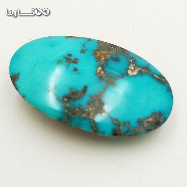 فیروزه اصیل نیشابوری (کد 6021)