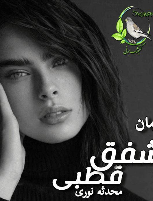 دانلود رمان شفق قطبی PDF