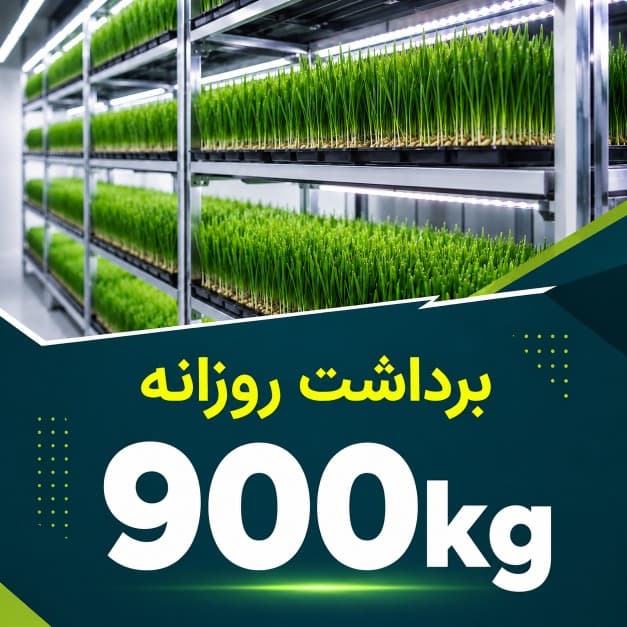 پکیج برداشت حدودی 900 کیلوگرم روزانه علوفه هیدروپونیک